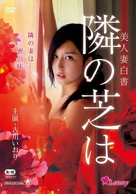 免费电影《夜航西飞》海报